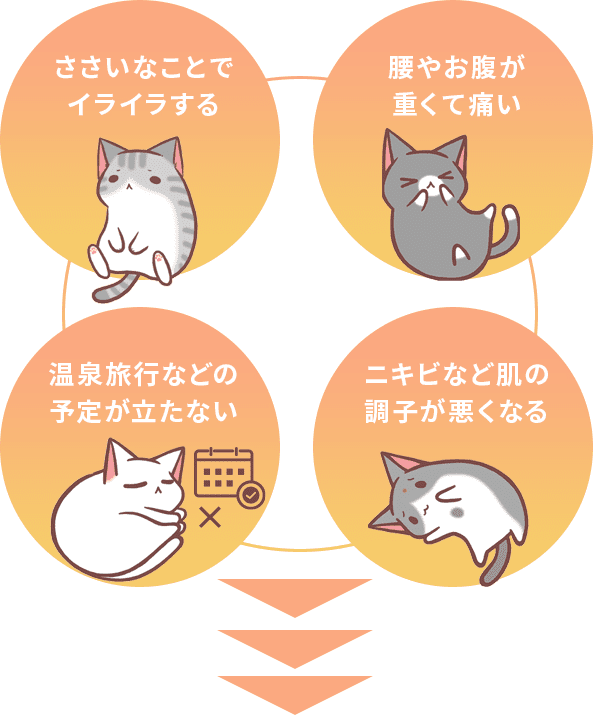 ささいなことでイライラする,腰やお腹が重くて痛い,温泉旅行などの予定が立たない,ニキビなど肌の調子が悪くなる